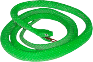Green Snake PNG Image PNG Clip art