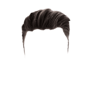 Hair PNG File PNG Clip art