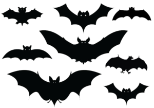 Halloween Bat PNG Picture PNG Clip art