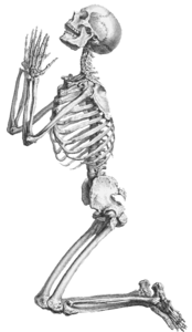 Halloween Skeleton Transparent Background PNG Clip art