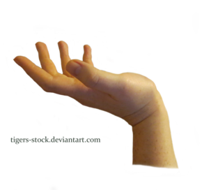 Hand PNG Download Image PNG Clip art