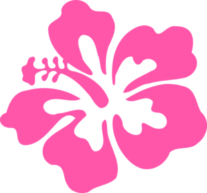 Hibiscus PNG Photos PNG images