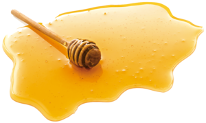 Honey PNG Clipart PNG Clip art
