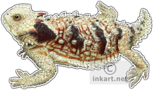 Horned Lizard PNG Transparent Image PNG Clip art