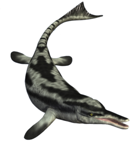 Ichthyosaur PNG Photos PNG Clip art