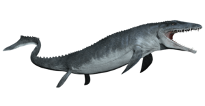 Ichthyosaur Transparent Images PNG PNG Clip art
