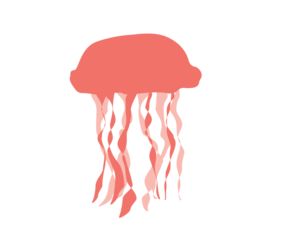 Jellyfish PNG Transparent Clip art