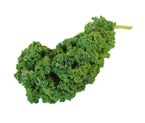 Kale PNG Clipart PNG Clip art