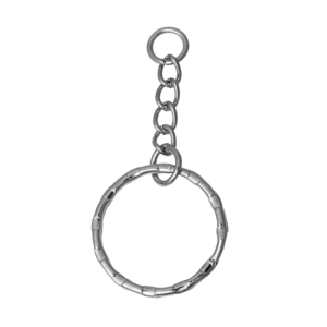 Keychain PNG Background Image PNG Clip art