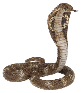 King Cobra PNG Clipart PNG icons