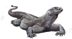 Komodo Dragon PNG Pic PNG Clip art