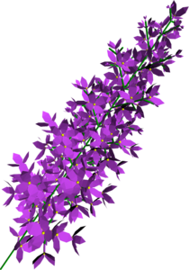 Lilac PNG Transparent Clip art