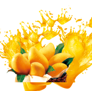 Mango PNG Transparent Images Clip art