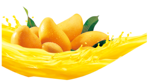 Mango PNG Transparent Clip art