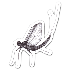 Mayfly PNG File PNG Clip art