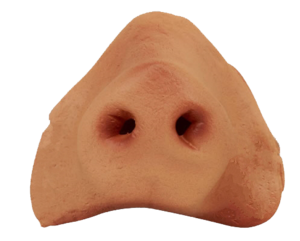 Nose PNG Photo PNG Clip art