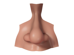 Nose PNG Picture Clip art