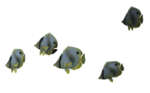 Ocean Fish PNG File PNG Clip art