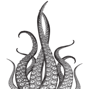 Octopus Tentacles PNG Pic PNG Clip art