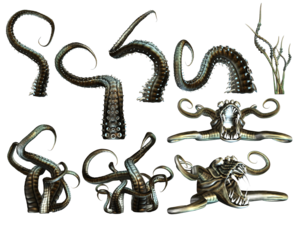 Octopus Tentacles PNG Transparent Clip art