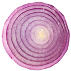 Onion Slice PNG Image PNG Clip art