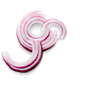 Onion Slice Clip art