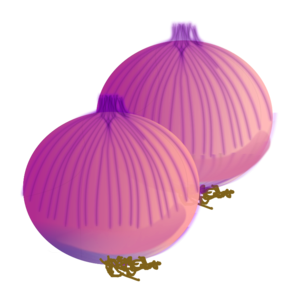 Onion Vector PNG Clip art