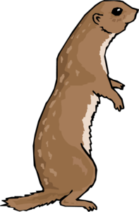 Otter PNG File PNG Clip art