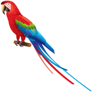 Parrot PNG Image PNG Clip art
