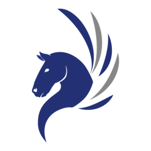Pegasus PNG Picture PNG icons
