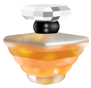 Perfume Bottle Icon ICO File PNG PNG images
