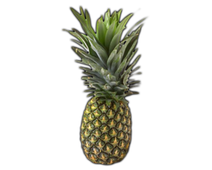 Pineapple Green PNG PNG Clip art