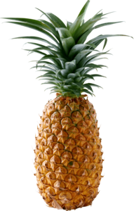 Pineapple PNG Transparent Images PNG Clip art