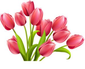 Pink Tulips PNG PNG Clip art