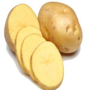 Potato PNG Pic PNG Clip art
