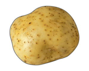 Potato PNG Transparent Image Clip art