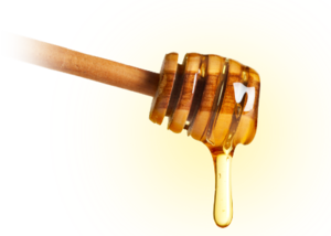 Pouring Honey PNG Clip art