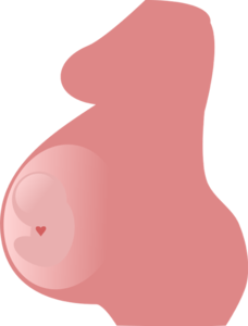 Pregnancy Transparent Background PNG Clip art
