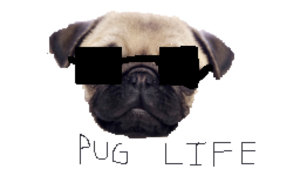 Pug Life PNG Clipart PNG Clip art