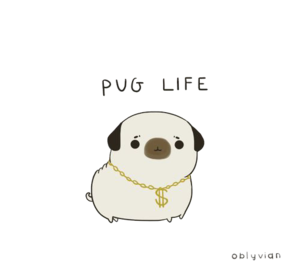 Pug Life PNG Image PNG Clip art