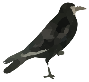 Raven Bird PNG HD PNG Clip art