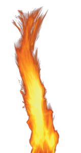 Real Fire Transparent PNG PNG Clip art