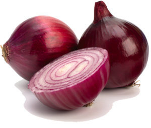 Red Onion PNG Clipart Clip art
