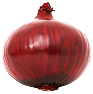 Red Onion Transparent PNG PNG Clip art