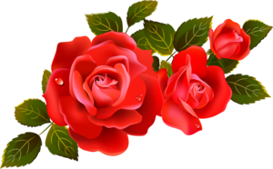 Red Rose PNG Image PNG Clip art