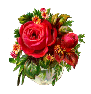 Red Rose PNG Pic PNG Clip art