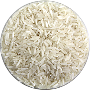 Rice PNG Free Download PNG Clip art