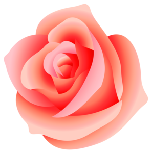 Rose PNG Free Download PNG Clip art