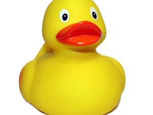 Rubber Duck PNG Free Download Clip art