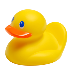 Rubber Duck Transparent Background PNG Clip art